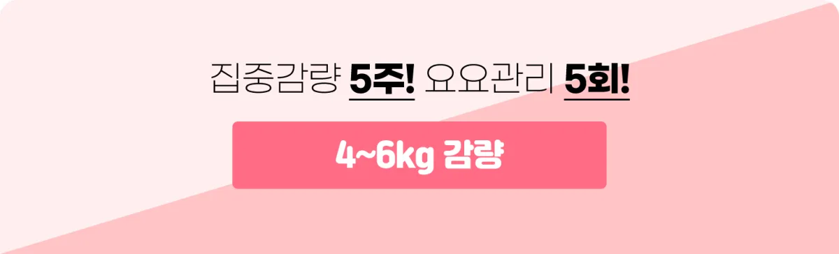 안면 리프팅 라인 도해 · 와봄한방병원 피부·비만